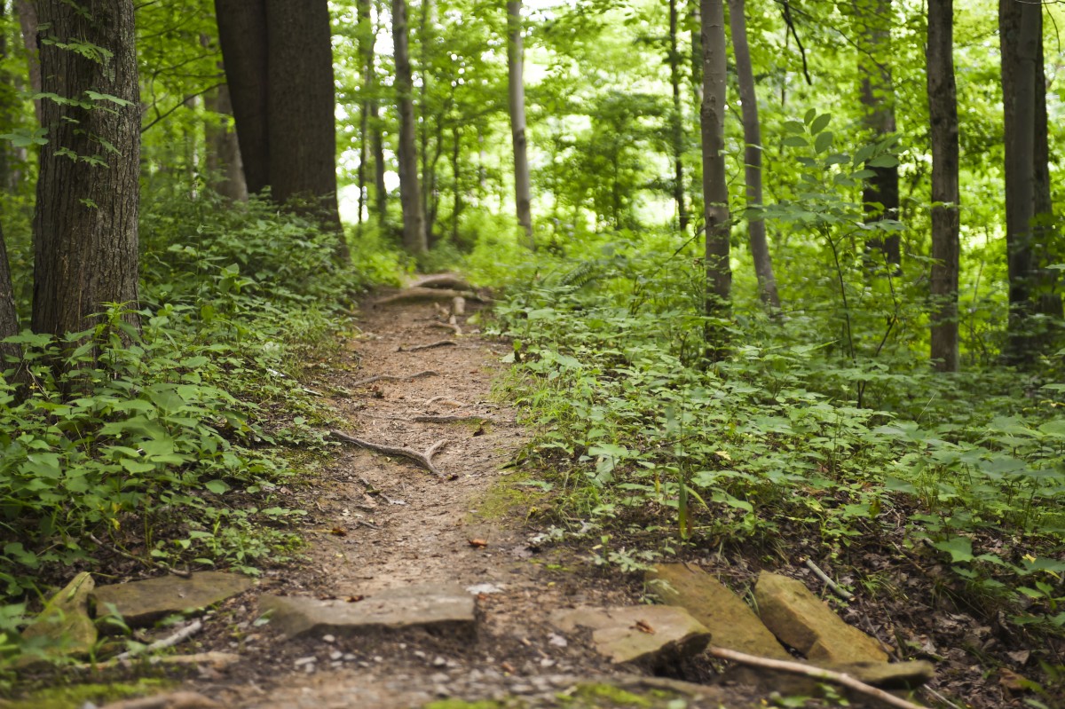 Commission backs reintroduction of Mountaineer Trail Network bill